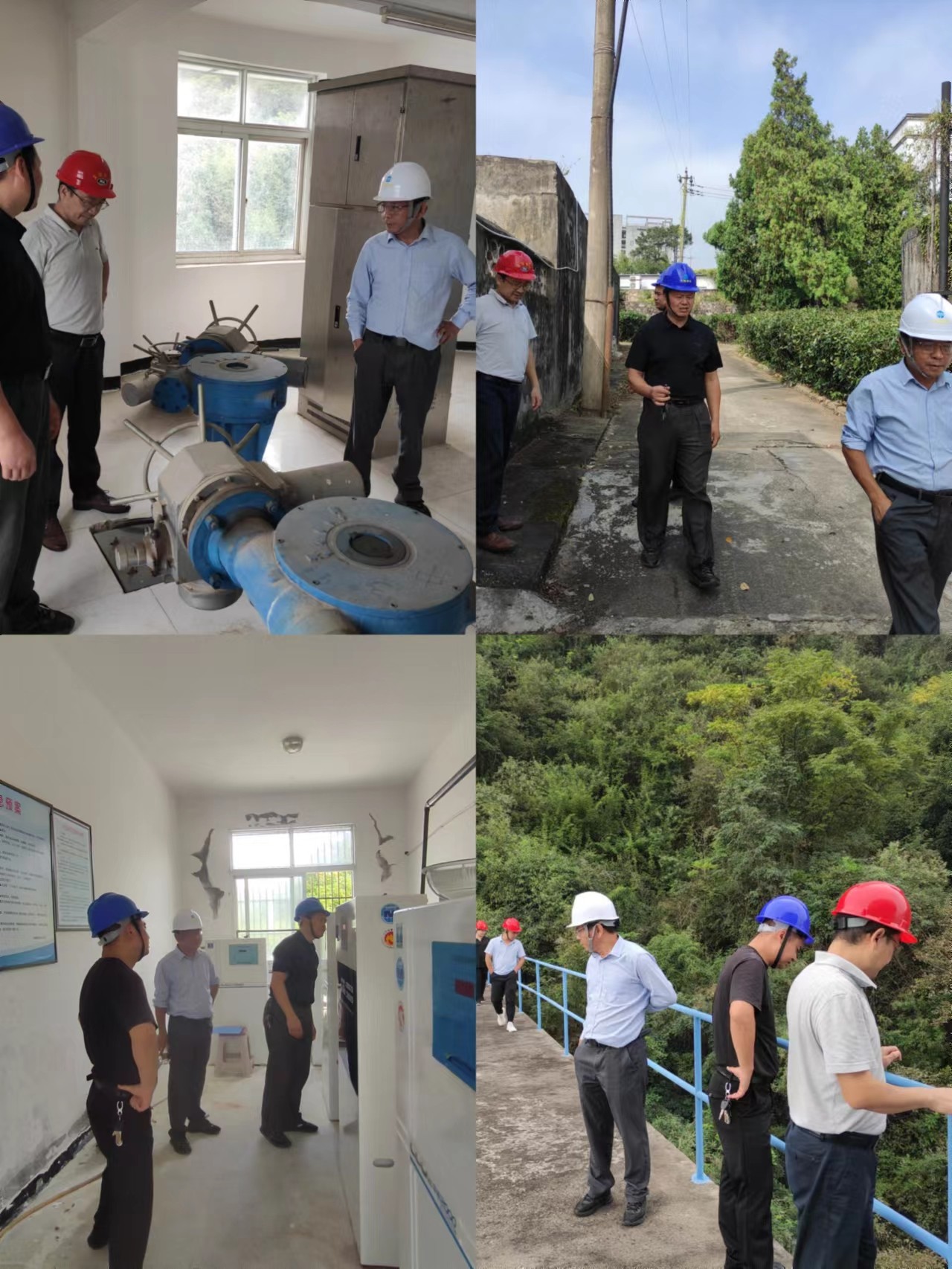 1695715963104556.jpg 9171adb662f0ee41acf8c026be5c229.jpg